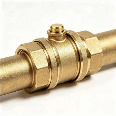 Brass Wafer Check Valve