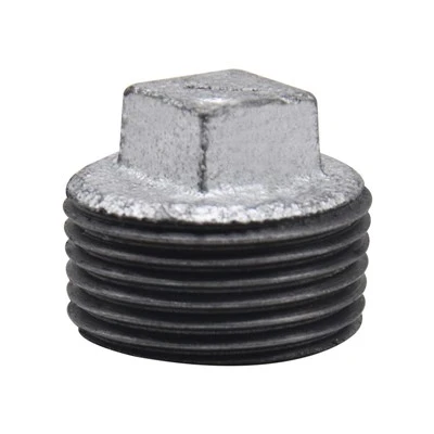 Malleable Iron Plug