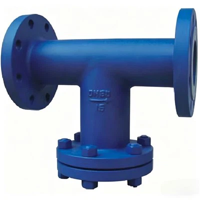 Stainless Steel T-Type Strainer in Pipeline