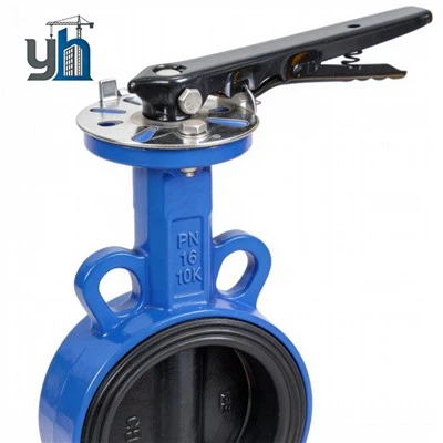 Wafer Cast Iron PN10 Butterfly Valve